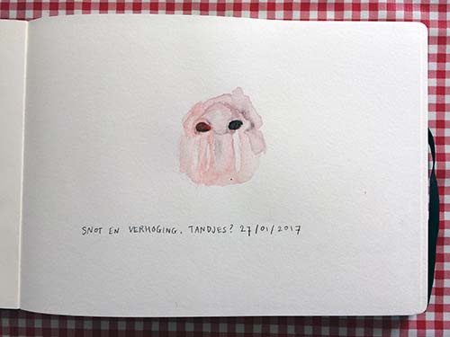 Kroniek van opgetekende gezinskwalen